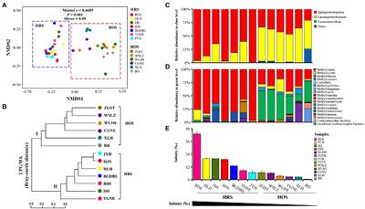 Salinity significantly affects methane oxidation and methanotrophic community in Inner Mongolia lake sediments